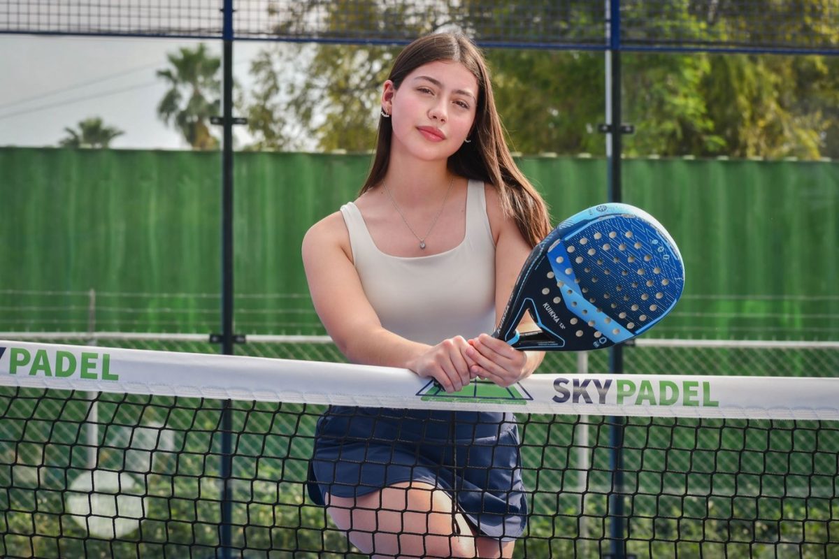 Wilson ou NOX : quelle chaussure de padel selon style de jeu